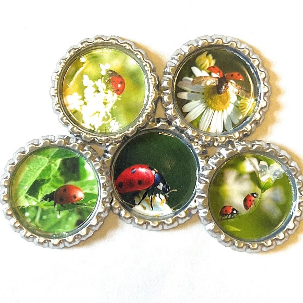 Ladybugs Magnet Set